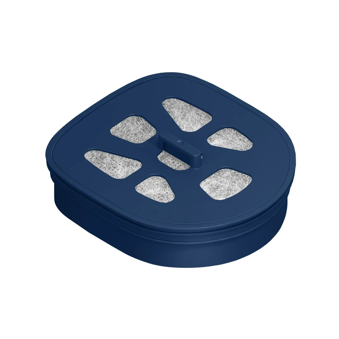 LARQ Pitcher Advanced Filter